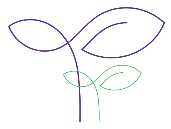 Sustainability