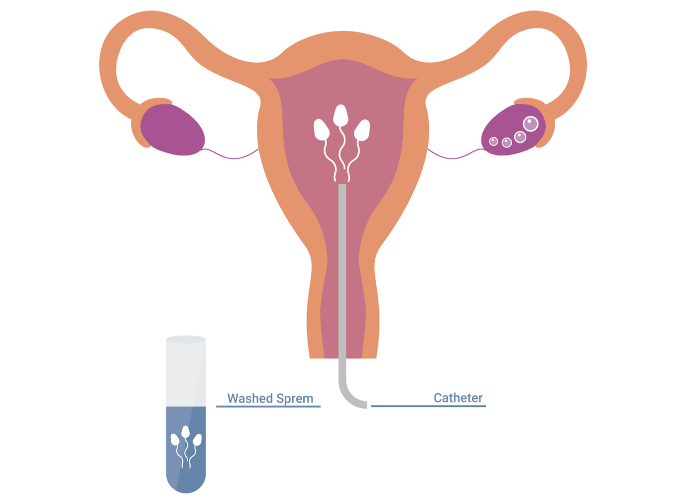 Nurses working at desk