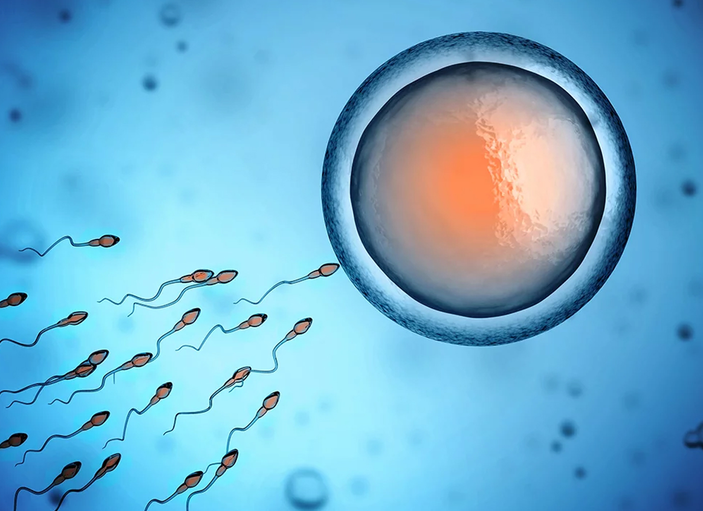 Nurses working at desk