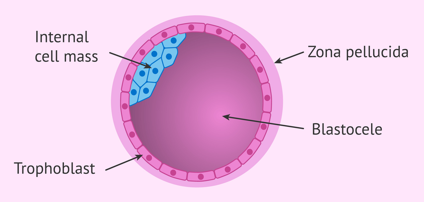 Nurses working at desk