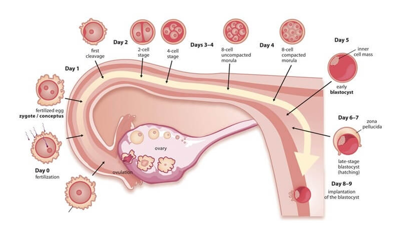 Nurses working at desk