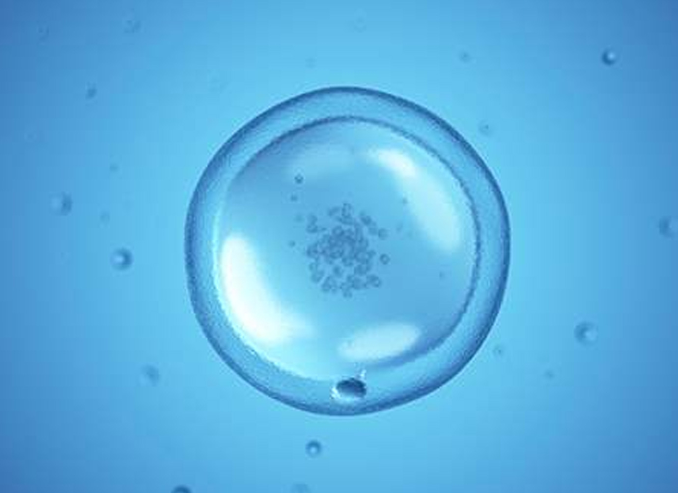 Nurses working at desk