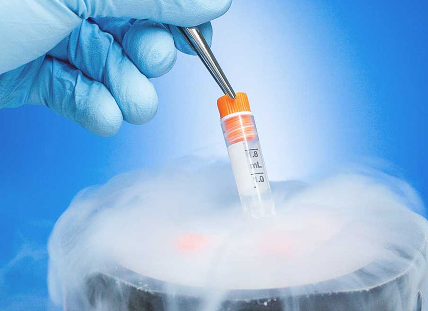 Nurses working at desk