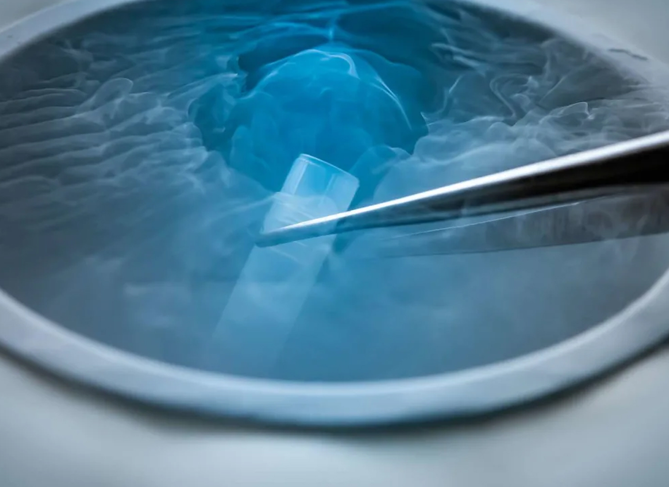 Nurses working at desk