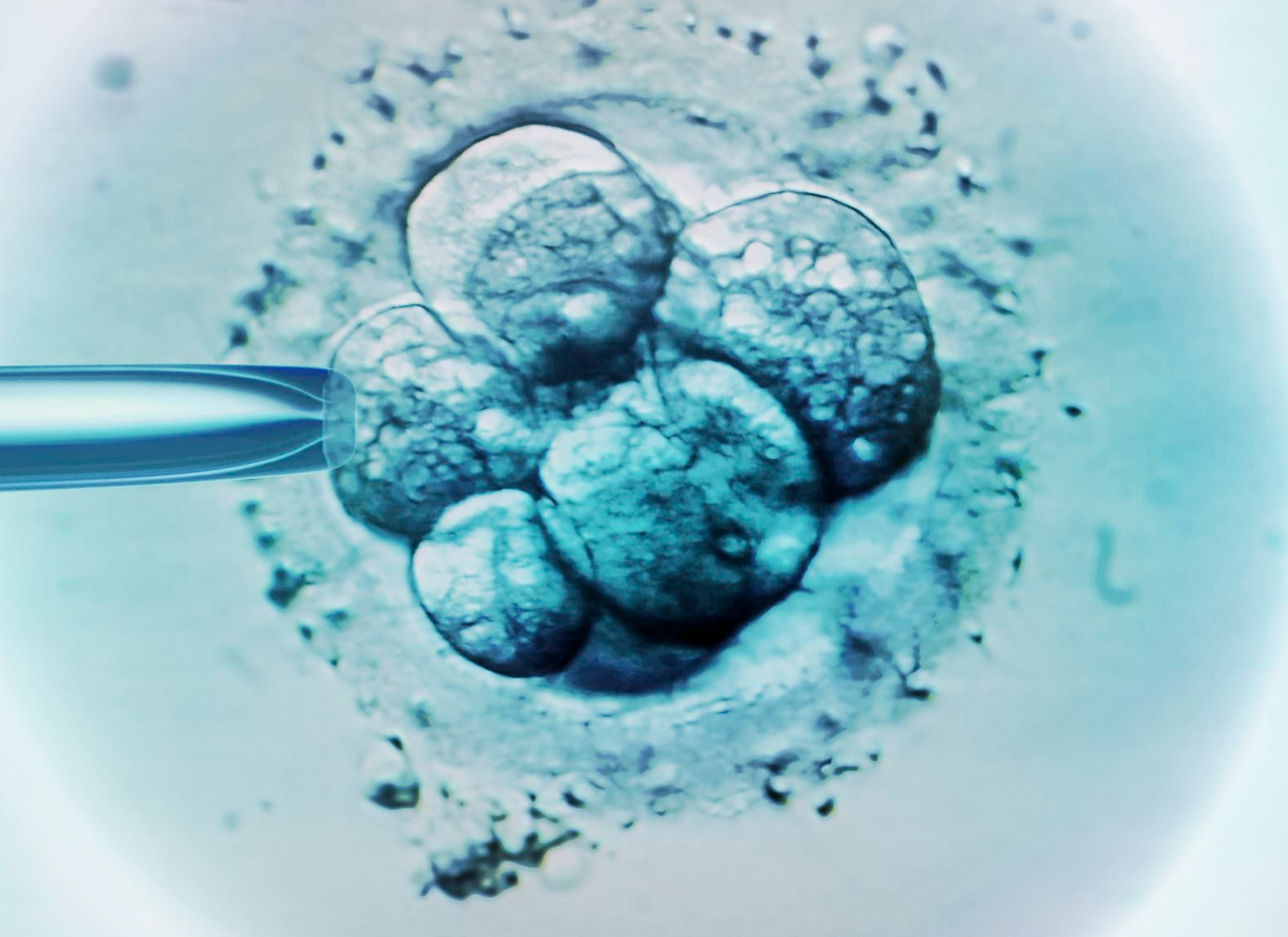 Nurses working at desk