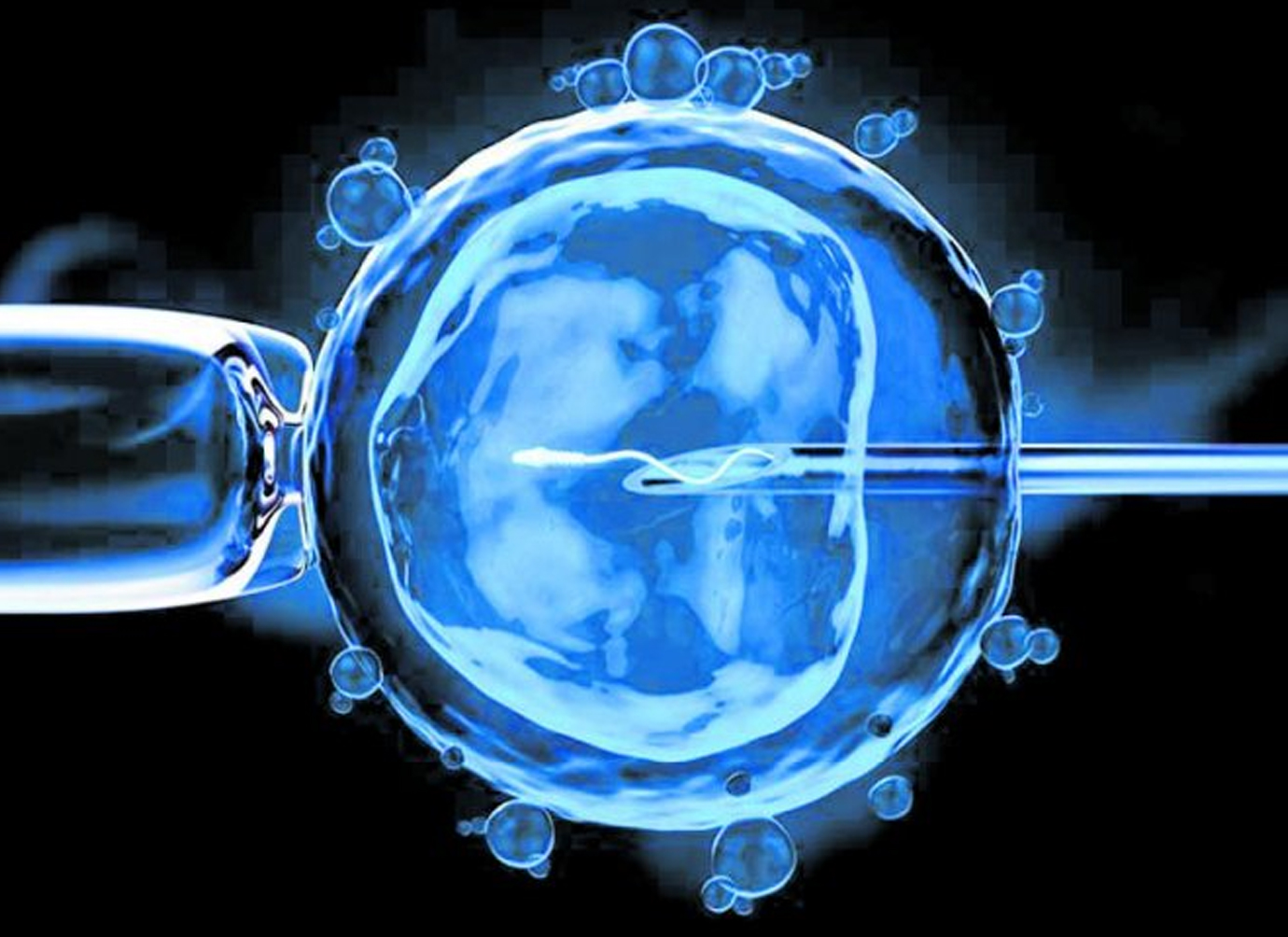 Nurses working at desk