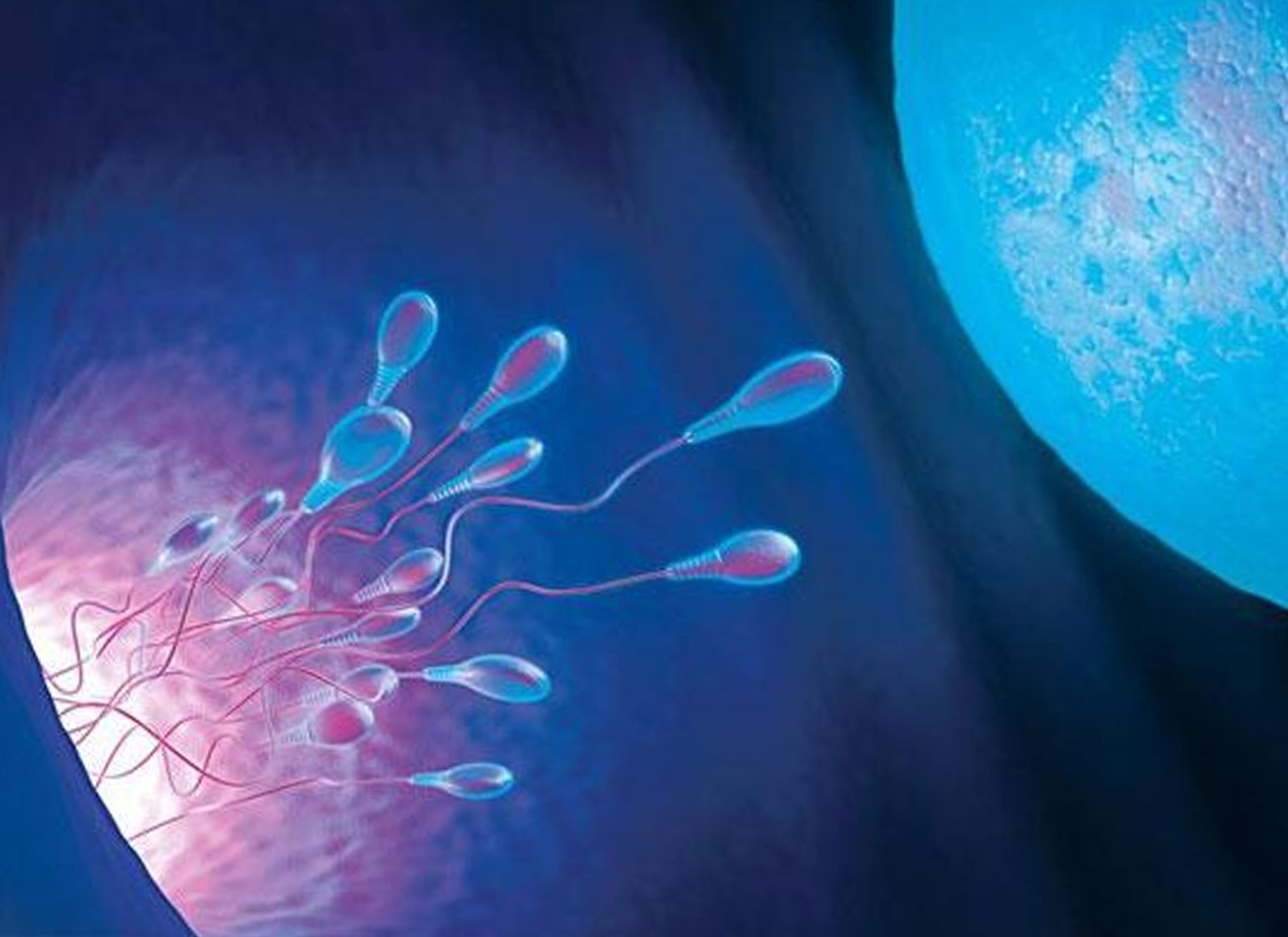 Nurses working at desk