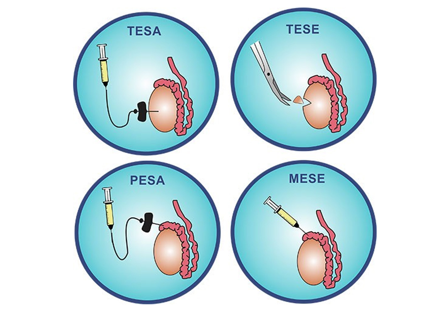 Nurses working at desk