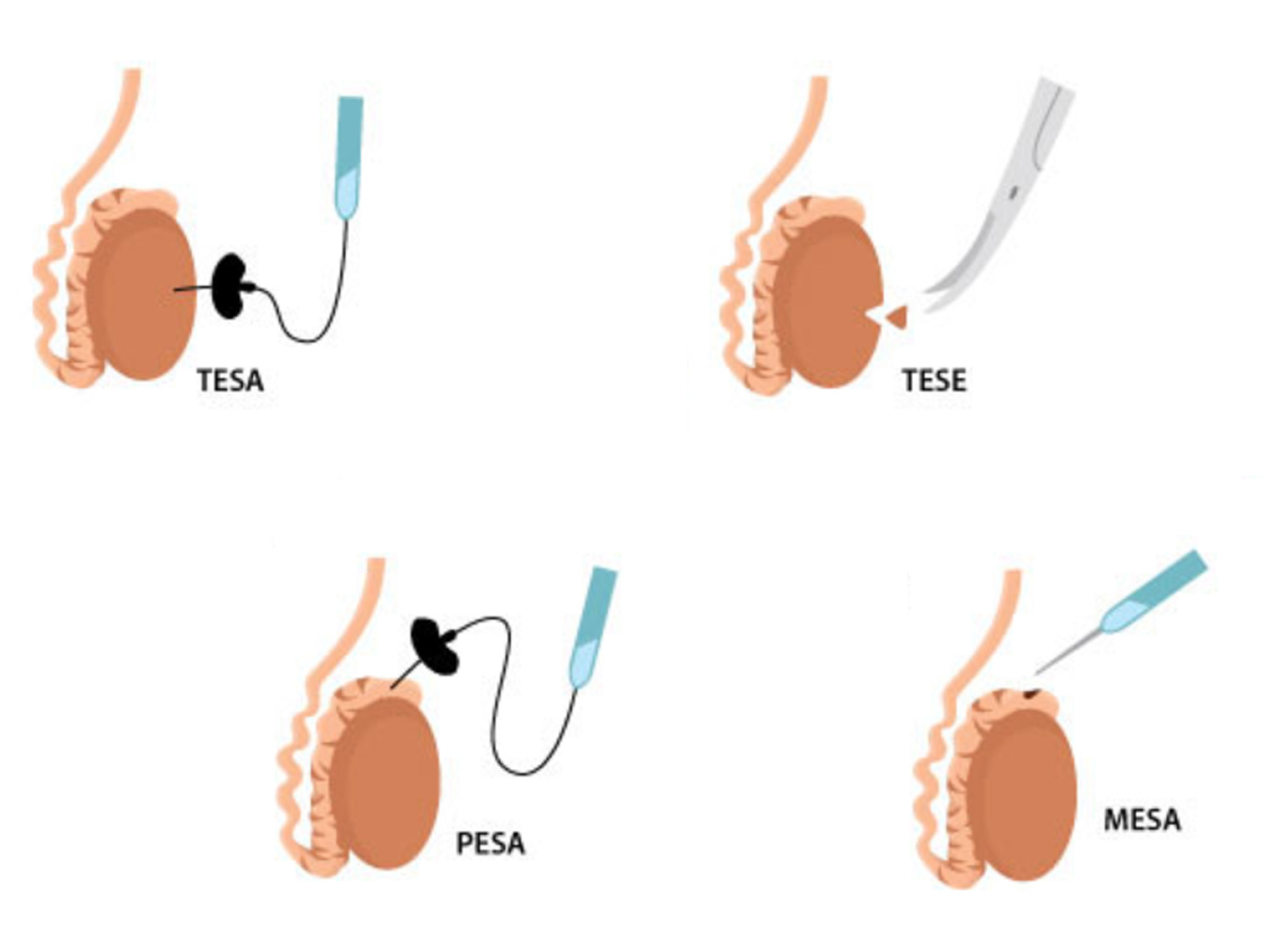Nurses working at desk