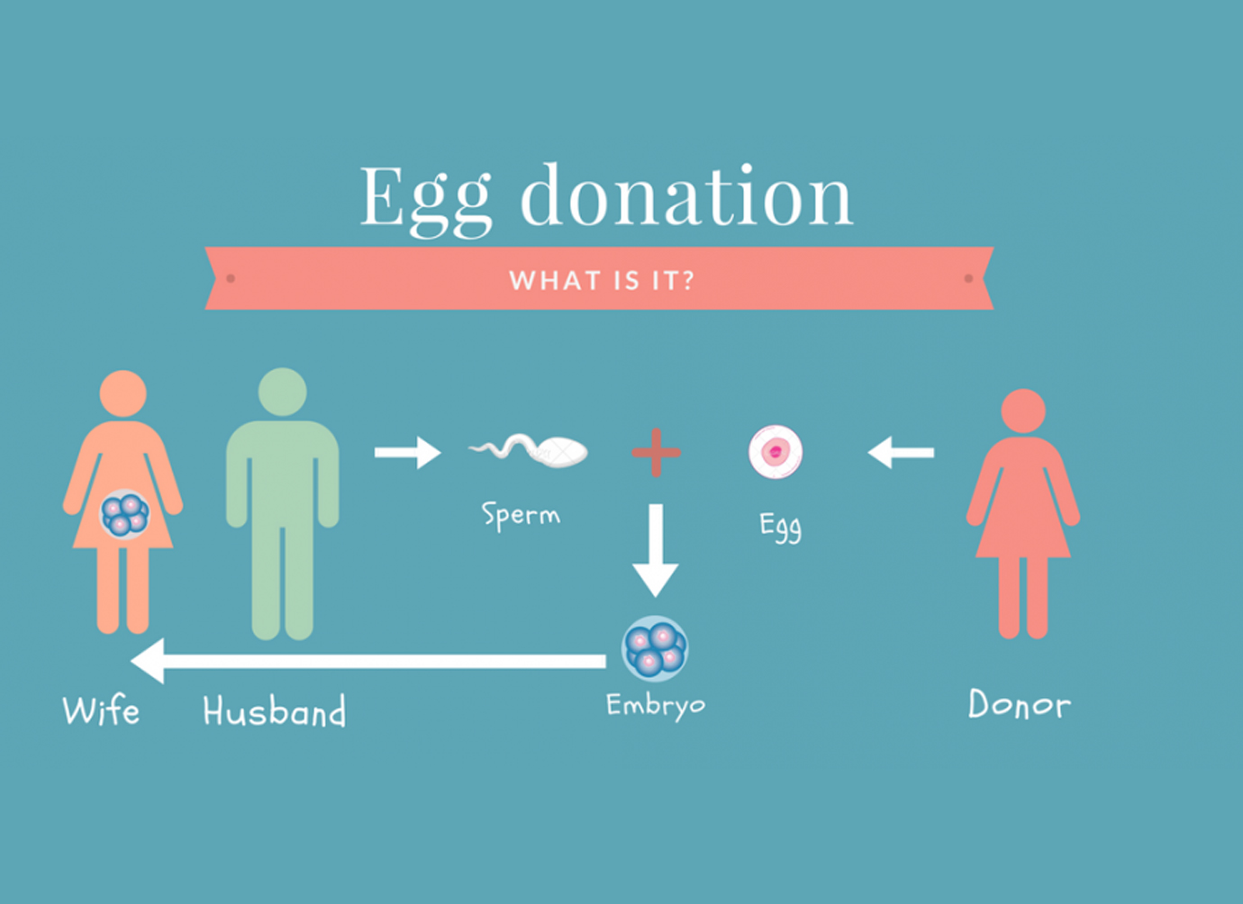 Nurses working at desk