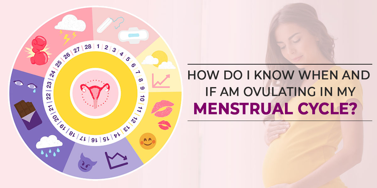 Ovulating
