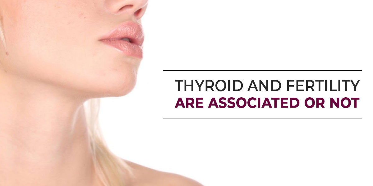 Thyroid-and-Fertility