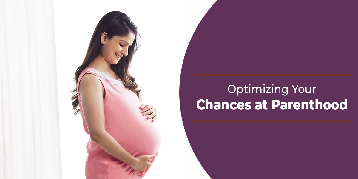 fertility expert in noida