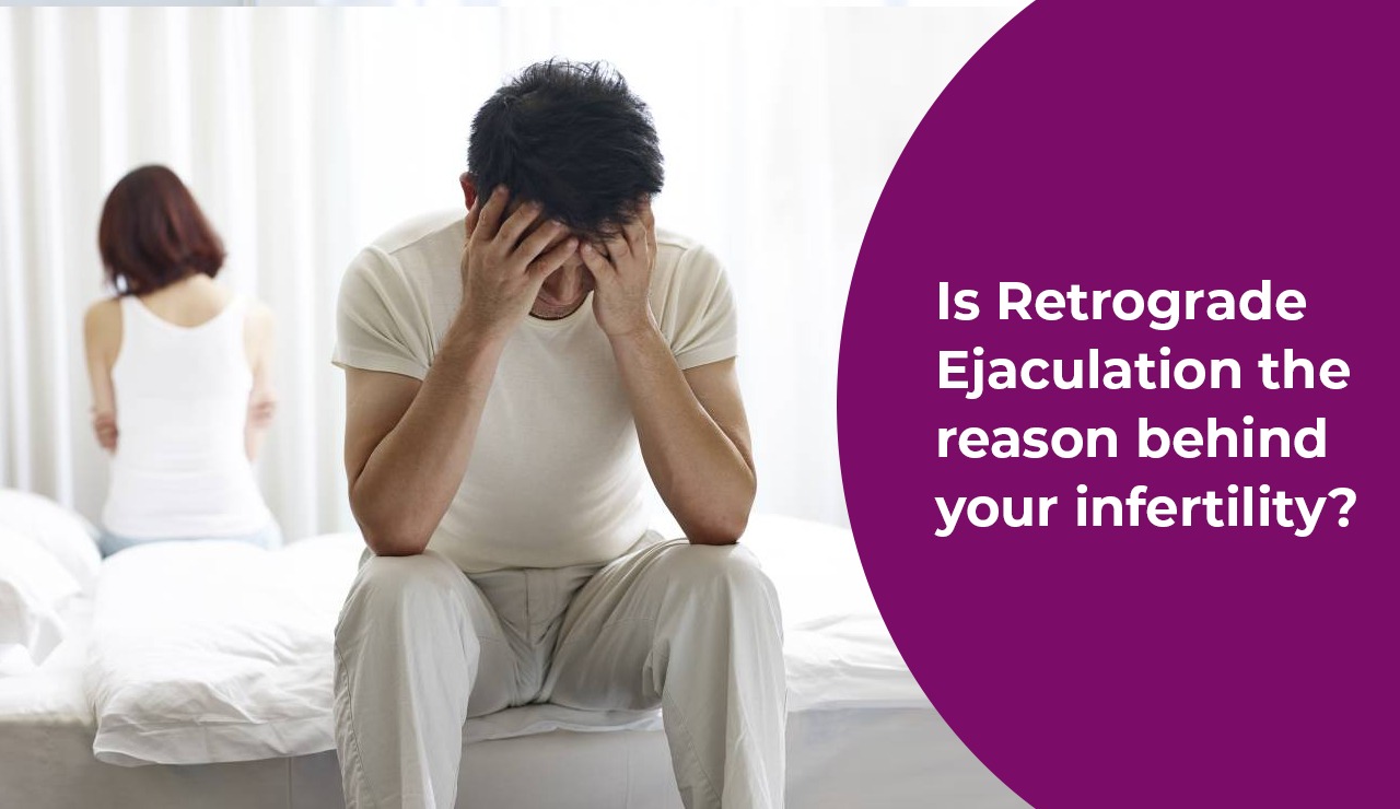 Male Fertility treatment in noida